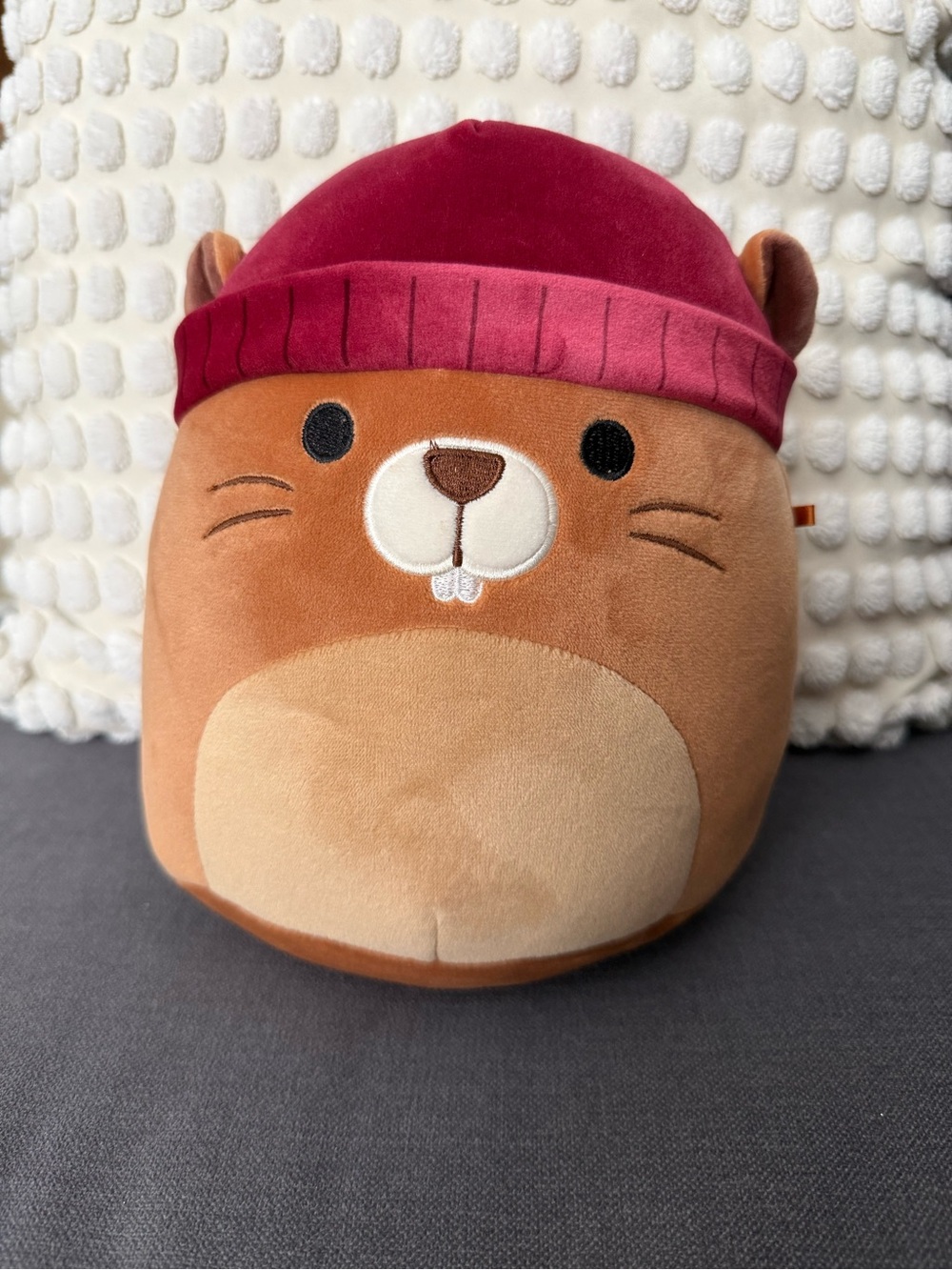Squishmallow Chip the Beaver